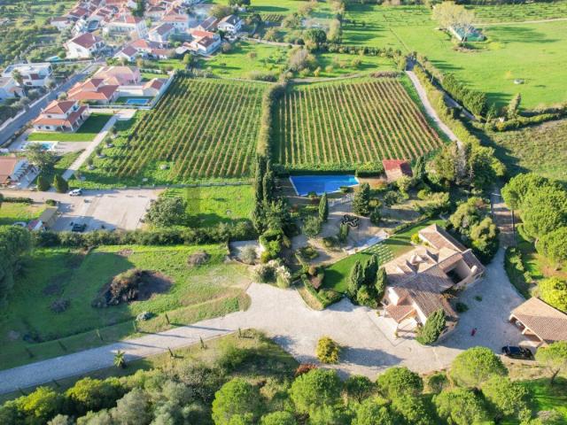 Quinta com Piscina e Vinha para Venda em Azeitão, Arrábida