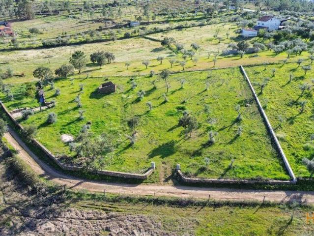 Quinta com Ruína e Água em Juncal do Campo | Castelo Branco | 26054087858