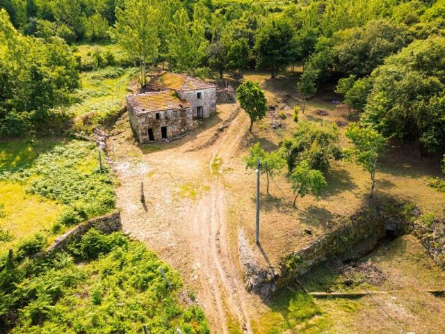 Quinta com Ribeiro e casa para restaurar Terreno de cultiv. 150m² Cinfães