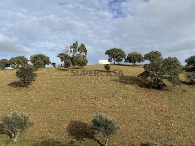 Quinta com ribeiro em Vila Nova de S. Bento no Alentejo.