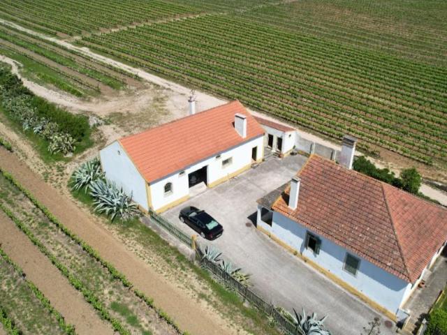 Quinta com vinha, Casa Habitação T4 e Armazém, a 15 minutos. 0m² Carvoeira e carmões