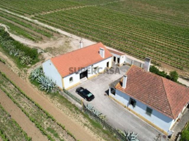 Quinta com vinha, Casa Habitação T4 e Armazém, a 15 minutos de Torres Vedras