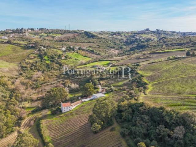 Quinta com vinha em zona demarcada