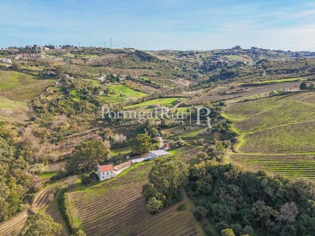 Quinta com vinha em zona demarcada 61m² Cardosas