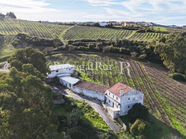 Quinta com vinha em zona demarcada