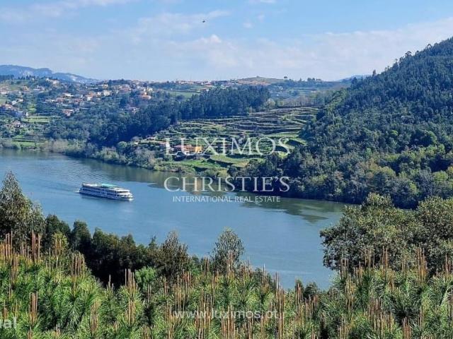 Quinta com vistas sobre o Rio Douro, Sebolido
