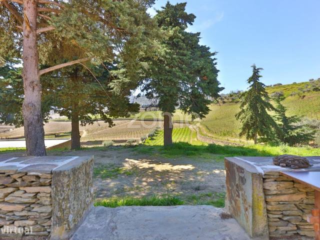 Quinta com 14 Hectares em Pleno Douro Vinhateiro