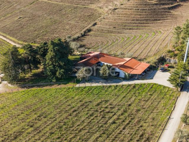 Quinta com 14 Hectares em Pleno Douro Vinhateiro