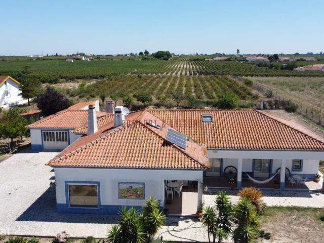 Quinta com 15.000 m em Palmela