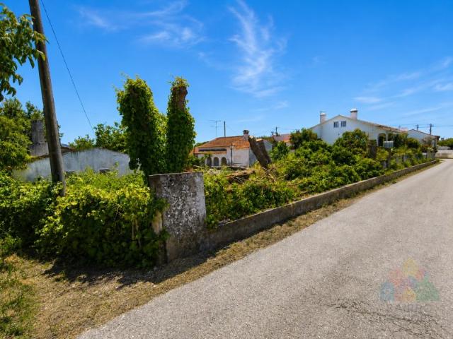 Quinta com 16 mil m2 em excelente localização Tomar