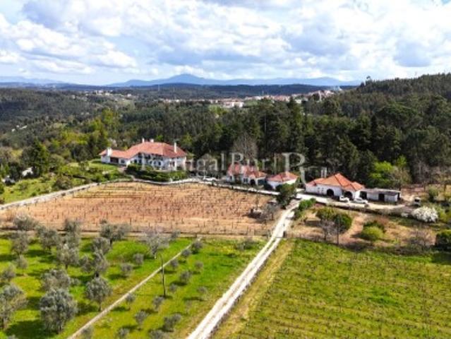 Quinta de 10ha com Casa Senhorial, Vinhas e Olival
