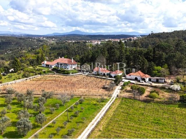 Quinta de 10ha com Casa Senhorial, Vinhas e Olival