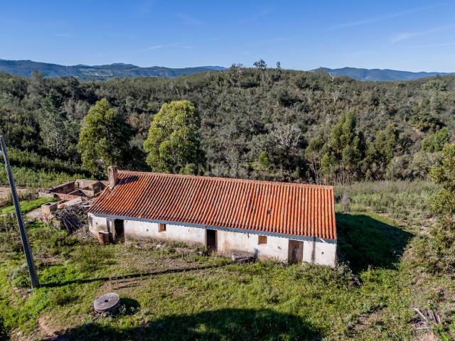 Quinta com 11,7 Hectares e Ruína para Reconstrução | Vale Zorro – São Marcos da Serra