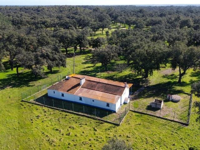 Quinta com 12,55 hectares e elevado potencial construtivo |. 48m² São Domingos e Vale de Água