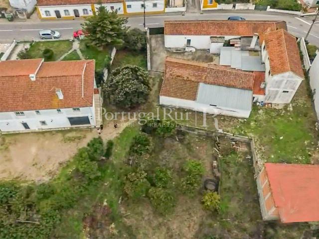 Quinta com 13.000 m² e 3 Moradias no Cartaxo, Póvoa da Isent. 132m² Póvoa Da Isenta