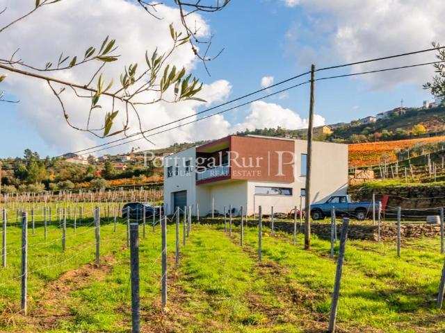 Quinta com 1,8 Hectares em Tabuaço 152m² Santa Leocádia