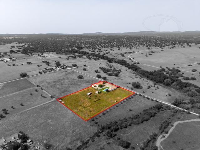 Quinta com 1 ha, com moradia T4 + 1 pronta a habitar, piscina e anexos