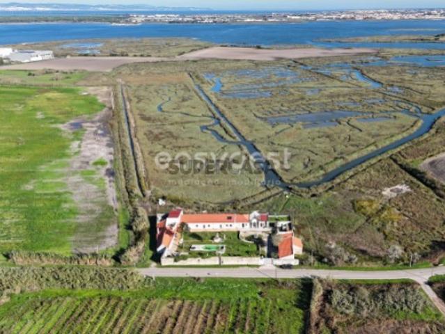 Quinta com 1HA, sita na aldeia ribeirinha mais colorida do tejo: Gaio.Rosário