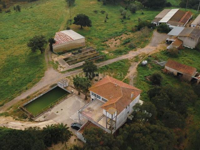 Quinta com 24 hectares no centro de Santarém – Excelente oportunidade para Turismo Rural ou Exploração Agrícola
