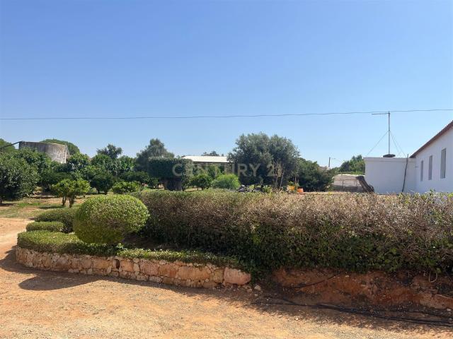 Quinta com 208.790m2, em Plena produção de Citrinos, e estuf. 268m² Silves