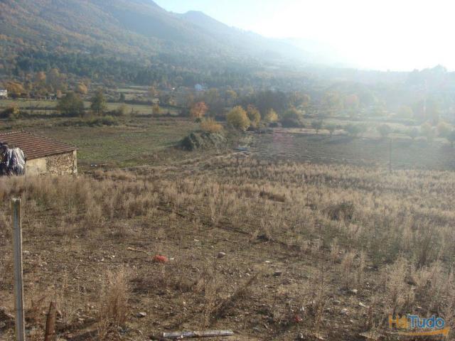 Quinta com 20 hectares | 26071151130