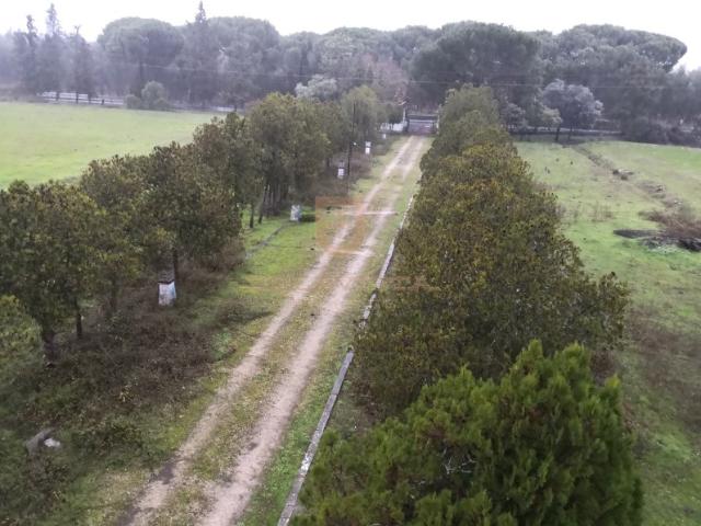 Quinta com 21Ha, a 30 min do Montijo, possibilidade de construir com 30000 m2