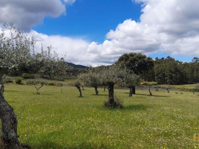 Quinta com 2,14Ha em Quintas da Torre, Fundão Portugal | 26063322720