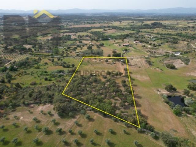 Quinta com 2,1 hectares em Castelo Branco