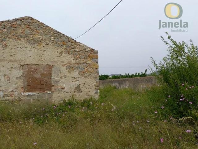 Quinta com 2 hectares e casa por restaurar 76m² Conceição e Estói