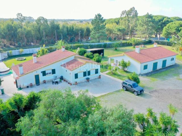 Quinta com 2 moradias, espaço comercial e loteamento a 30 mi. 280m² Pegões
