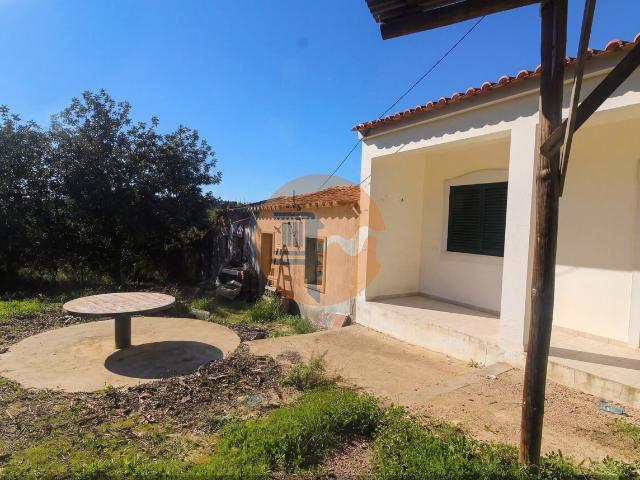Quinta com 2ha em Santo Estêvão, Tavira