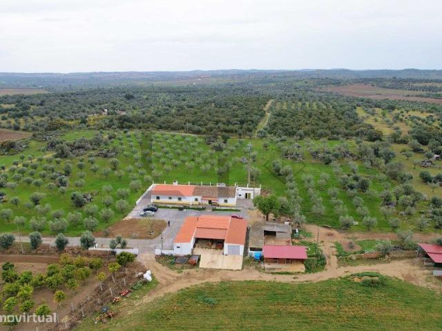 Quinta com 39 Hectares com Moradia V5 para venda em Monsaraz, vora.