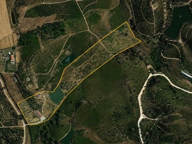 Quinta com 3,3 Hectares para Venda na Senhora do Verde 90m² Mexilhoeira Grande