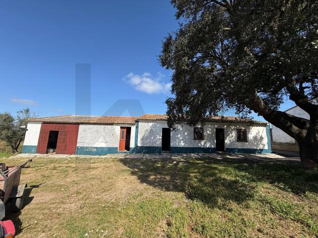 Quinta com 3.750 m², Moradia e Potencial Turístico – Refúgio no Coração do Alentejo