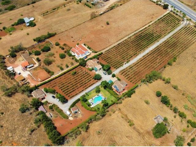 Quinta com 3 Casas, Piscina, Vinha e Licença de Turismo, Lagos