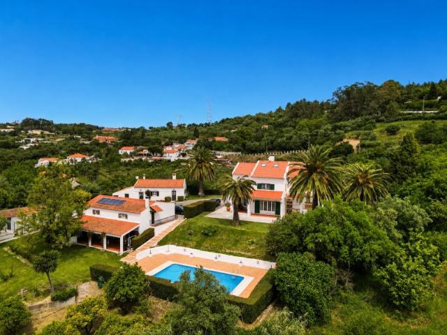 Quinta com 3 Habitações T5, T2 e T1 Vinha e Piscina | Vila Franca de Xira | 1.2 hectares