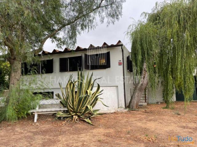 Quinta com 3 hectares e moradia T2 em Torres Vedras | 23013471184