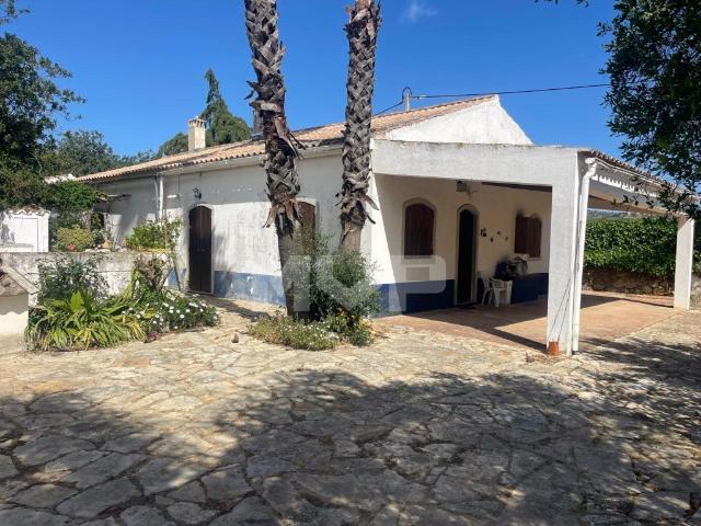 Quinta com 3 quartos e forno em Santa Bárbara de Nexe, Faro. 217m² Santa Bárbara De Nexe