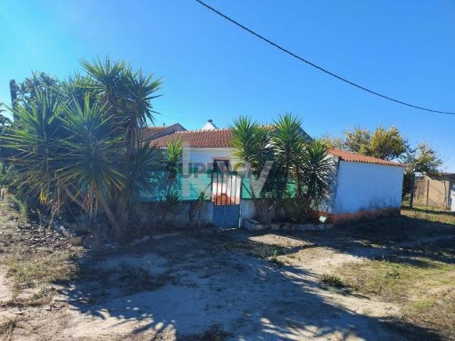 Quinta com 4429m com 2 moradias e garagem na Lagoa do Calvo, Poceirão, Palmela, Setúbal