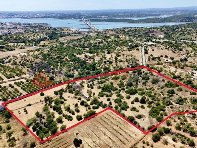 Quinta com 4,23 Hectares e Ruína para Reconstrução | Estômba. 250m² Estômbar e Parchal