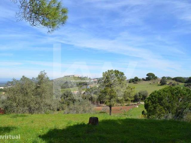QUINTA COM 4.274,50 M2, COM MORADIA E UM ANEXO EM SANTIAGO DO CACM