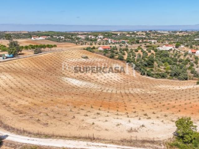Quinta com 4,6 Hectares no Ribatejo