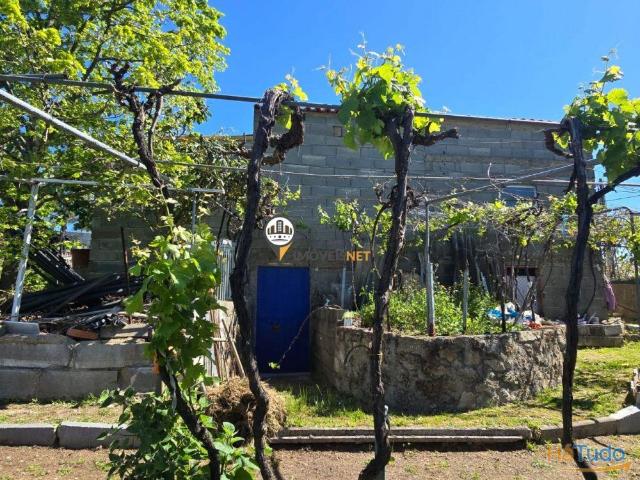 Quinta com 5000m2 com casa com garagem, Venda, Castelo Branco | 26053971073