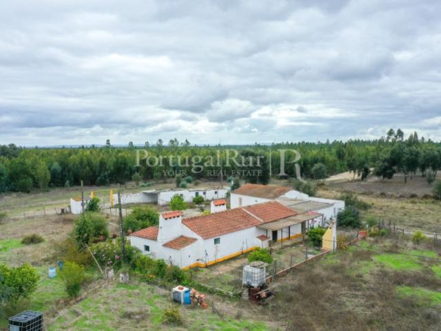 Quinta com 5165 m2, a 30 minutos das praias da Costa Vicentina
