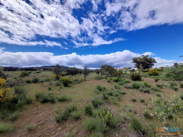 Quinta com 5200m2 nas Quintas da Torre, Fundão Portugal | 26063423073