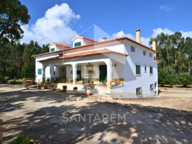 Quinta com 5,8 hectares, em Santarém