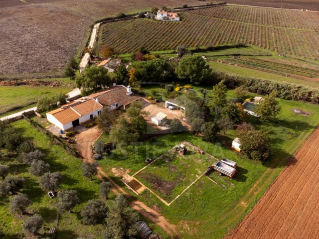 Quinta com 5,9 ha a 3 km de Borba Tranquilidade, Privacidade e Potencial Agrícola