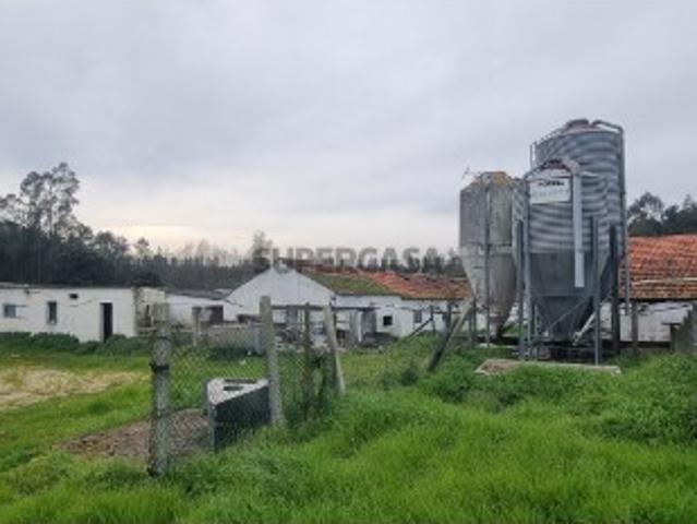 Quinta com 5 hectares, com casa para habitação, vários anexos e armazéns direcionados para pecuária e agricultura
