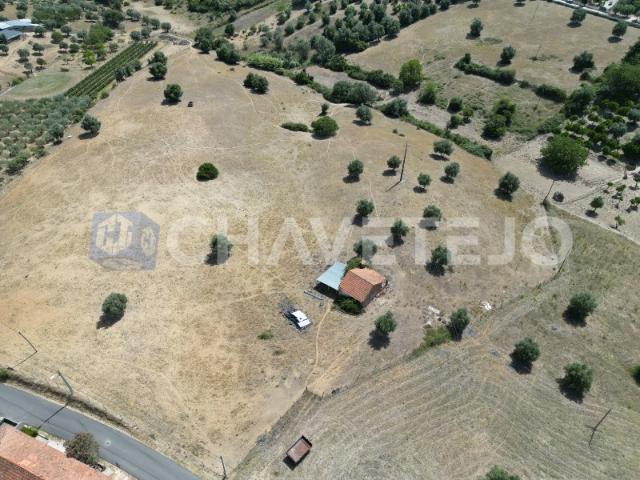 Quinta com 5 hectares de terreno para construir a sua casa de sonho perto da cidade de Tomar