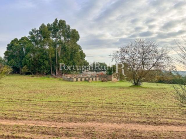 Quinta com 5 hectares e ruína
